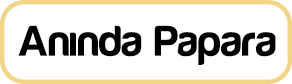 TPayNewPapara